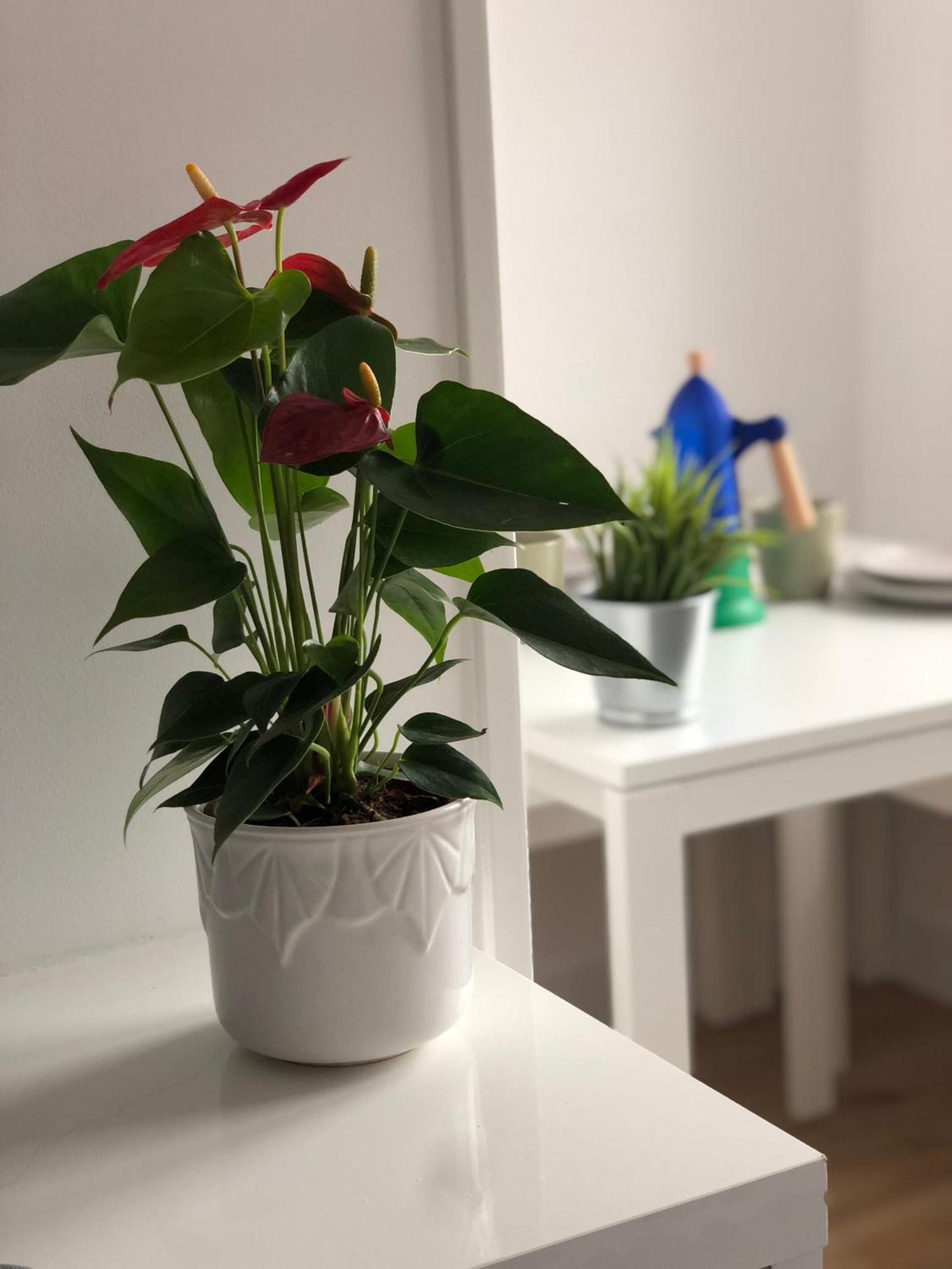 Recien Reformado, Centrico, Tranquilo Y Luminoso Apartment Овиедо Екстериор снимка